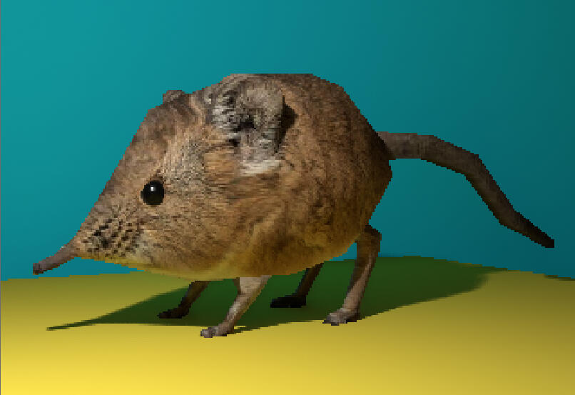 Musarana Musarana
